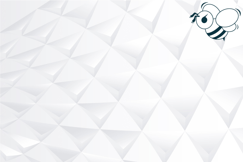 Certified Enterprise Agile Coach : Coaching de transition