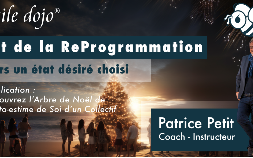 L’Art de la ReProgrammation – Découvrez l’Arbre de Noël de l’auto-estime collective de Soi