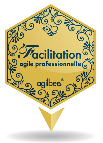 Badges Human Game Designer - Facilitation Agile - Niveau Expert