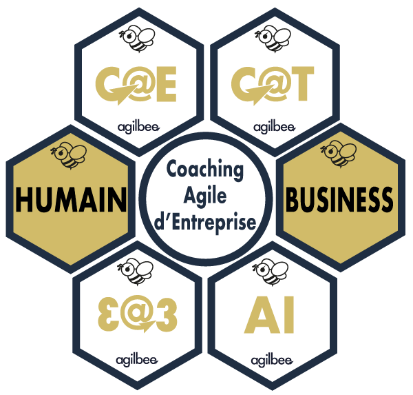 CoachingAgileDEntreprise