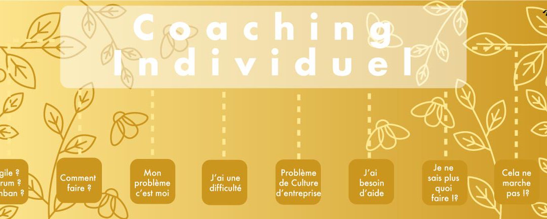 Coaching Individuel et E-Coaching