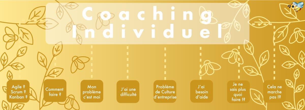 Coaching Individuel