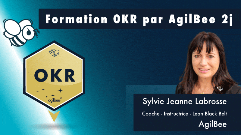 La "formation OKR par AgilBee - Implémenter la démarche et la gouvernance" en 2 jours propose un tour complet du sujet depuis la définition, la communication, le management et le suivi. Le but principal est de permettre l’alignement global de l’organisation dans la poursuite de ses buts stratégiques en favorisant l’engagement et la collaboration. Cette formation de 2 jours livre les concepts et les pratiques qui permettent à votre organisation de mieux piloter et réussir sa mission.