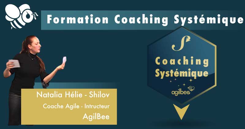 Coaching Systémique