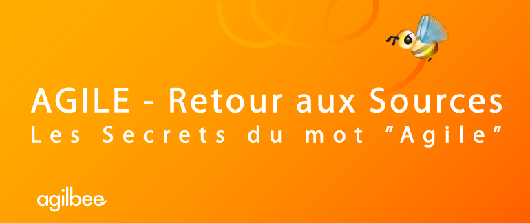 Agile – Retour aux Sources