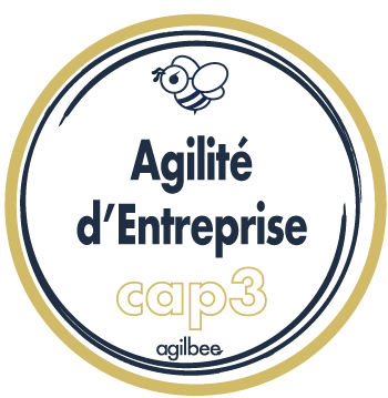 Coaching Agile Avance par agilbee CAP2 ICP-ACC
