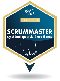 ScrumMaster Avancé
