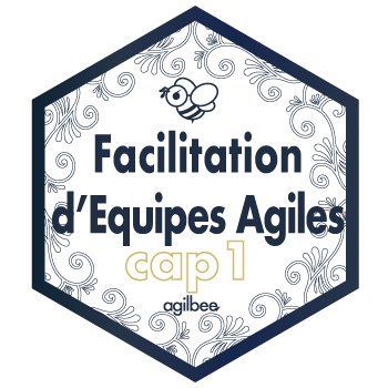 certification coach agile - facilitation d equipes agiles par agilbee CAP1