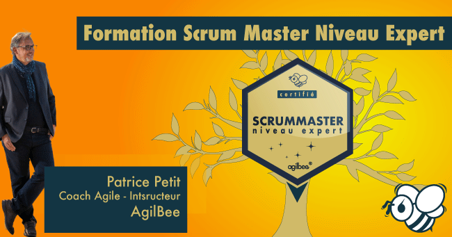 Formation ScrumMaster Niveau Expert