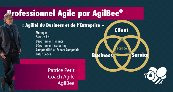 Professionnel Agile par AgilBee® (Formation)