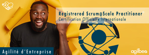 Formation Scrum at Scale (Certification Officielle)